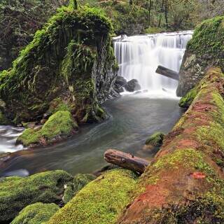 lowereastforkfalls