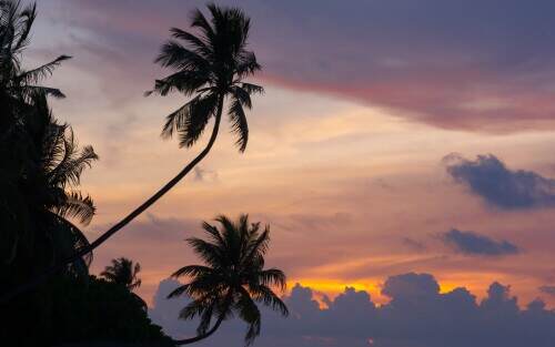 maldiviansunset.jpeg