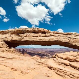 mesaarches