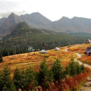 miniatures