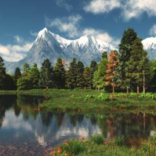 mountainsedge