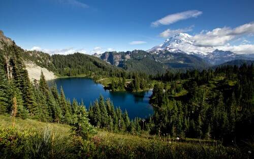 mtrainier.jpeg