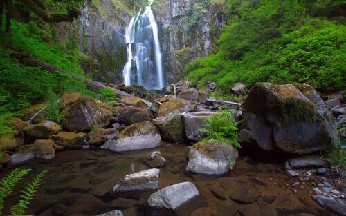 nforksmithriverfalls.jpeg