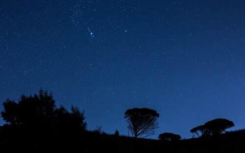 nightskyofsicily.jpeg