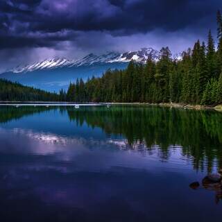 nocturnal