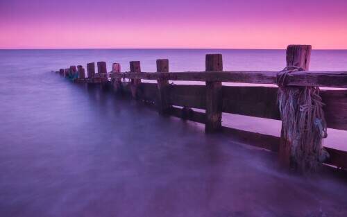 purple.jpeg