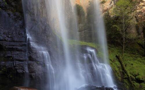 silverfalls.jpeg