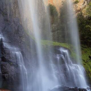 silverfalls