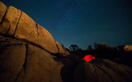 starsoverjoshuatree.jpeg