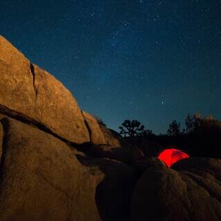 starsoverjoshuatree