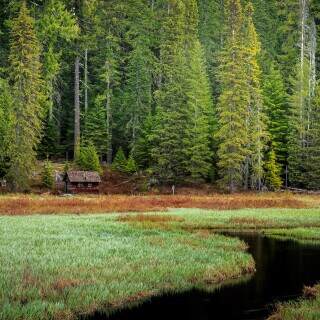 thecabin
