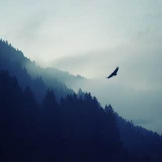 theeagle