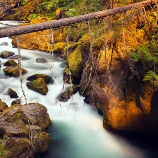 toketeeriver