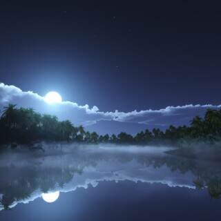 tropiccoldnight