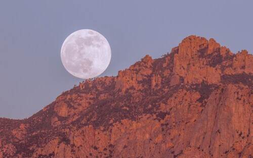 tucsonsupermoon.jpeg