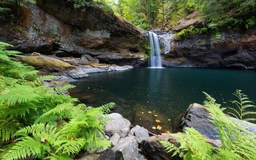 uppercoquillefalls.jpeg