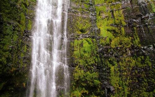 waimokufalls.jpeg