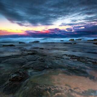 whalebeachpartii