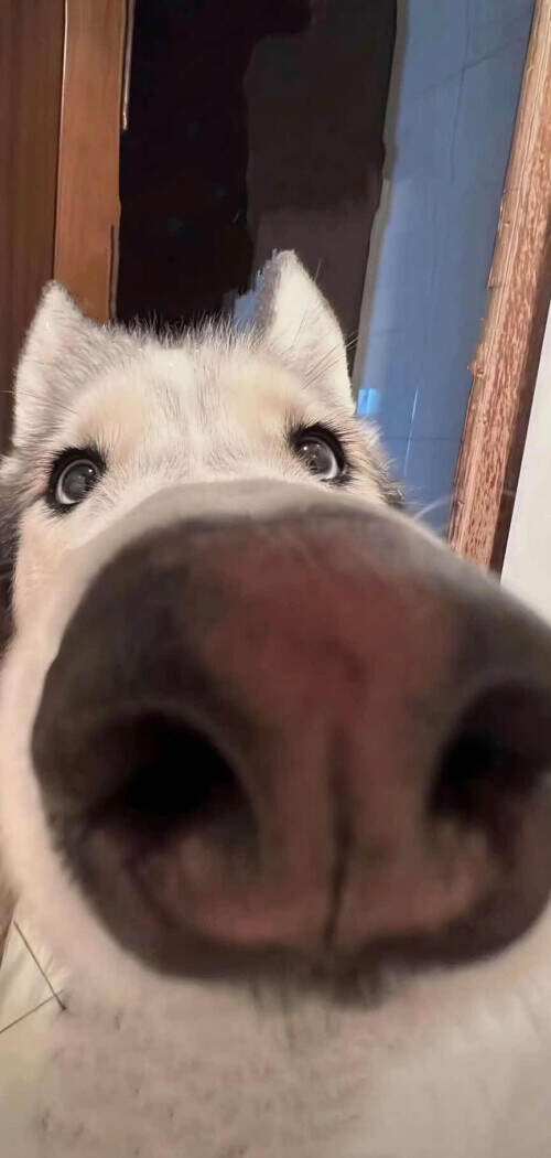 173873167407911.jpeg