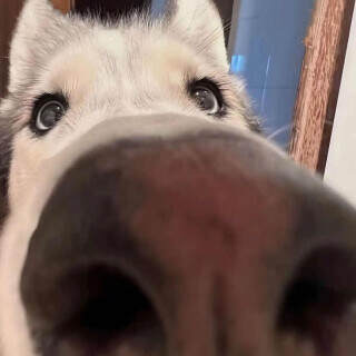 173873167407911