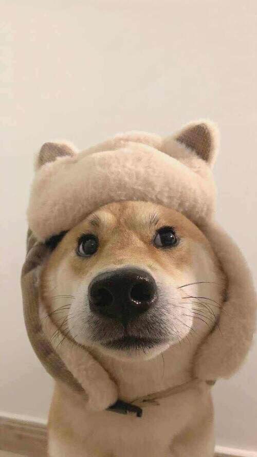 173873172406717.jpeg