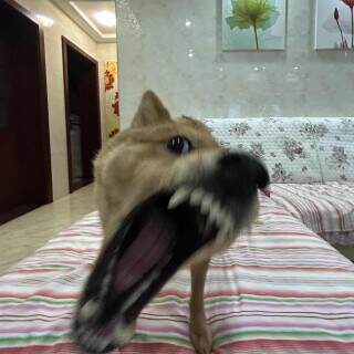 173873215173759